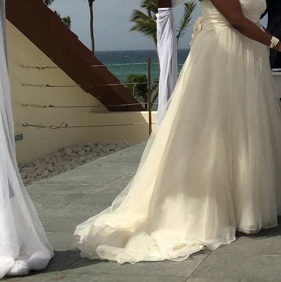 Wedding dress by David's Bridal - Picture 4 of 5